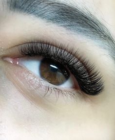 Extensions Lashes, Brow Studio, Makeup Help, Lash Tech, Natural Eyelashes, Volume Lashes, Eyelash Extension, Lash Extensions