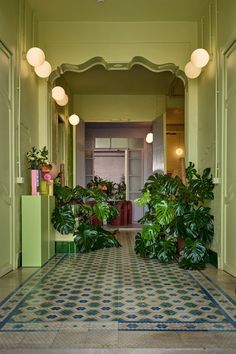 the hallway is decorated with green plants and potted plants