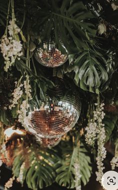 christmas decorations hanging from the ceiling with candles and greenery in front of them on display