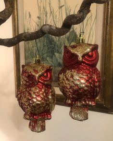 two red and gold owl ornaments hanging from a tree branch