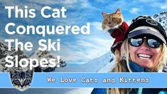 a woman wearing skis with a cat sitting on her shoulders and the caption, we love cats and kittens