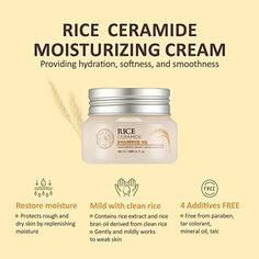 The Face Shop Rice Ceramide Moisturizing Cream | Rich Moisturizer for Long-lasting Smooth Absorbtion without Stickiness | Natural Moisturizer For Whitening & Skin Glowing, 1.69 fl oz, K-Beauty Korean Skin Care Products, Skin Barrier Repair, Digital Banner, Lightweight Moisturizer, Moisturizing Face Cream, Skin Dryness, Skin Glowing, Korean Skin