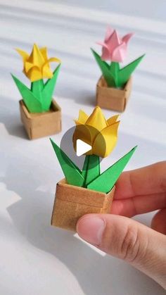 three origami flowers in small wooden boxes with one being held by someone's hand