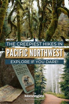 the crepiest hikes in pacific northwest explore if you dare book cover