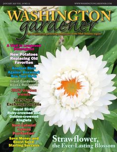 Read our latest publication on Issuu: https://issuu.com/washingtongardener/docs/jan25_wgmag_final


Inside this issue: 
•	Strawflower, the Ever-Lasting Blossom
•	A Visit to Longwood Reimagined
•	New Potatoes Replacing Old Favorites
•	Another Blow Against Boxwood: Box Tree Moth
•	Great Gardening Books Reviewed
•	2025 Garden Trends
•	2025 Seed Exchange Details 
•	Royal Birds: Ruby-crowned and Golden-crowned Kinglets
•	New Catmint ‘Lemon Purrfection’
•	Save Money and Boost Seed-Starting Success...