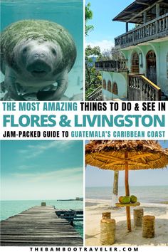 a manatee, a building, a dock, and a beach Guatemala Itinerary 5 Days, Guatemala Itinerary, Guatemala Belize Itinerary, Things To Do In Guatemala City, Traveling To Guatemala, Livingston Guatemala, America City, Guatemala Travel