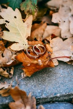 two wedding rings sitting on top of leaves in the fall season, surrounded by fallen leaves