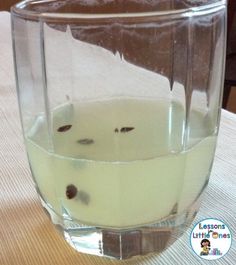 a glass filled with liquid sitting on top of a table