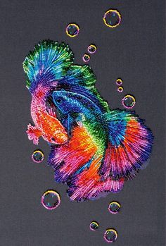 an image of a colorful fish with bubbles