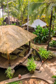 an outdoor area with a thatched roof and small pond in the center, surrounded by palm trees