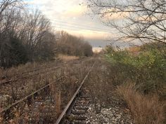 an abandoned train track in the middle of nowhere, with trees and bushes on either side