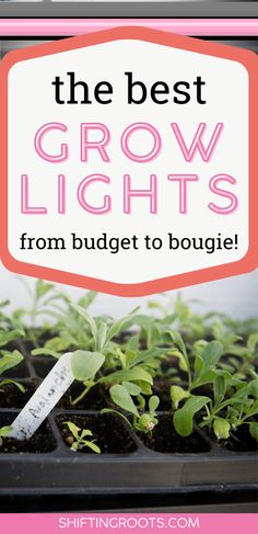 the best grow lights from budget to bougie with text overlaying