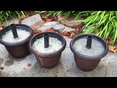 three plastic cups filled with white liquid sitting on top of a stone slab next to plants