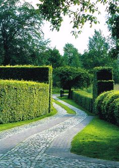 a cobblestone road surrounded by hedges and trees