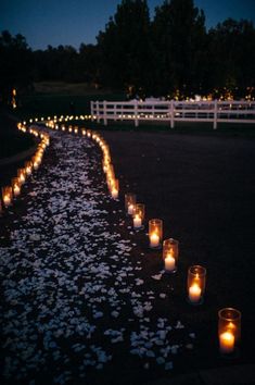 many lit candles are lined up on the ground