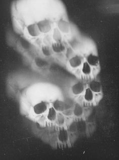 black and white photograph of three human skulls