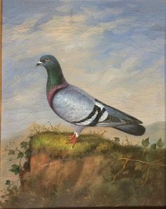 a painting of a bird sitting on top of a hill