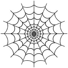 a spider web is shown in black and white