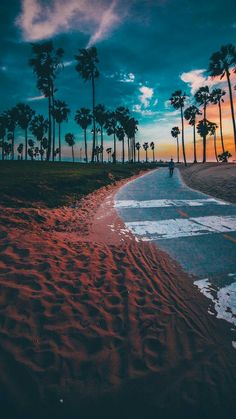 a person standing on the side of a road next to palm trees and water at sunset