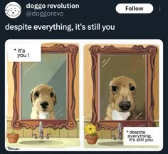 a dog looking at itself in a mirror with the caption dogso revolution below