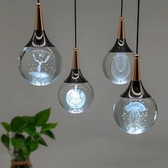 three glass globes hanging from the ceiling with lights on them and a potted plant in the foreground