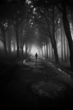 a person walking down a dark road in the foggy forest with trees on both sides