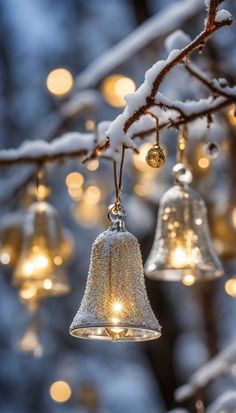 three bells hanging from a tree with snow on them and lights in the back ground