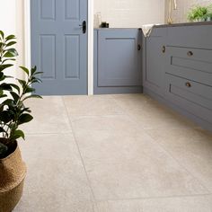 a potted plant sitting in front of a blue door on a tiled kitchen floor