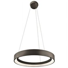 a circular light fixture hanging from the ceiling with an oval ring on it's end