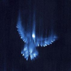 an image of some blue lights in the dark night sky with birds flying around it