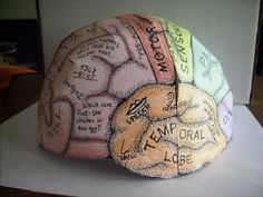 there is a cake made to look like a human brain with words written on it