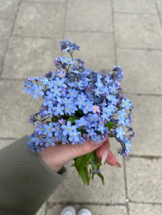 a person holding blue flowers in their hand