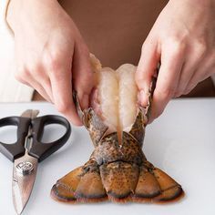 a person cutting up a crab on top of a white table next to some scissors