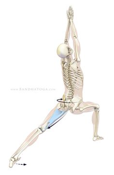 an image of a skeleton doing yoga with its arms and legs extended in the air