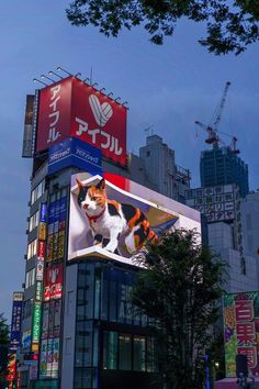 a large advertisement on the side of a building with a cat sitting on it's back