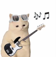 a cat wearing sunglasses and holding an electric guitar with music notes coming out of it