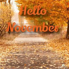 the words hello november are written in front of an image of trees with yellow leaves