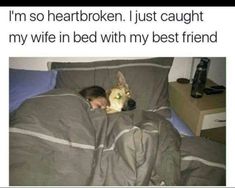 a little boy laying in bed next to a dog with his head under the covers