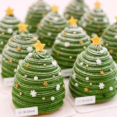 small green christmas trees with gold stars on them are arranged in rows and labeled with name tags