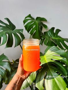 a person holding up a mason jar filled with orange liquid next to a plant in front of a white wall