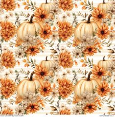 pumpkins and flowers on a white background