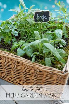 a basket filled with herbs next to a swimming pool and the words how to start a herb garden basket