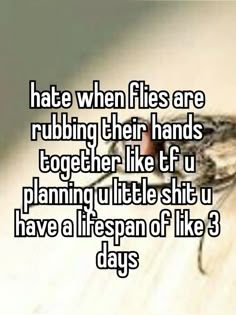 Funny Relatable Quotes, Whisper Confessions