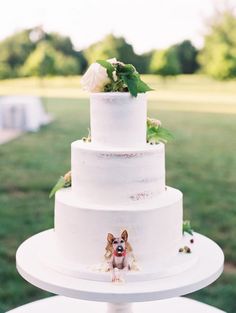 a wedding cake with a dog on top