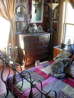 a dog laying on top of a bed next to a dresser in a living room