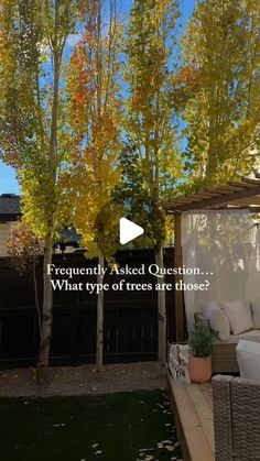 an outdoor living area with trees in the background and text that reads frequently asked question what type of trees are there?