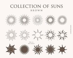 the collection of suns is shown in brown and white