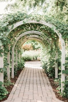 an arch covered in vines and greenery at the end of a brick walkway leading into a garden