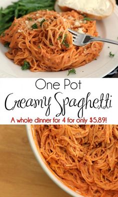 one pot creamy spaghetti with garlic and parmesan cheese is the perfect dinner for two