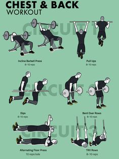 a poster showing how to do chest and back workouts